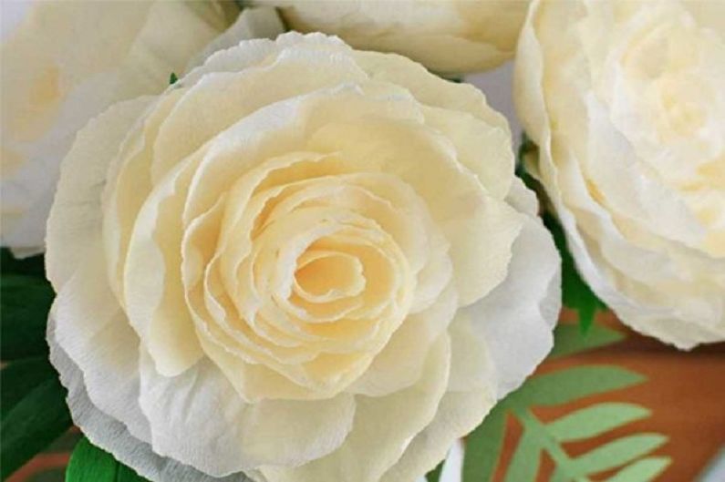 Fleurs en papier bricolage - Roses