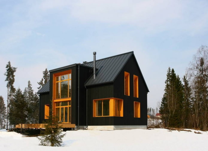 maison noire de style scandinave