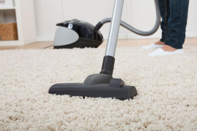 Ne soyez pas paresseux pour passer l'aspirateur plus souvent sur les tapis - l'un des premiers moyens d'éviter l'apparition de mites.