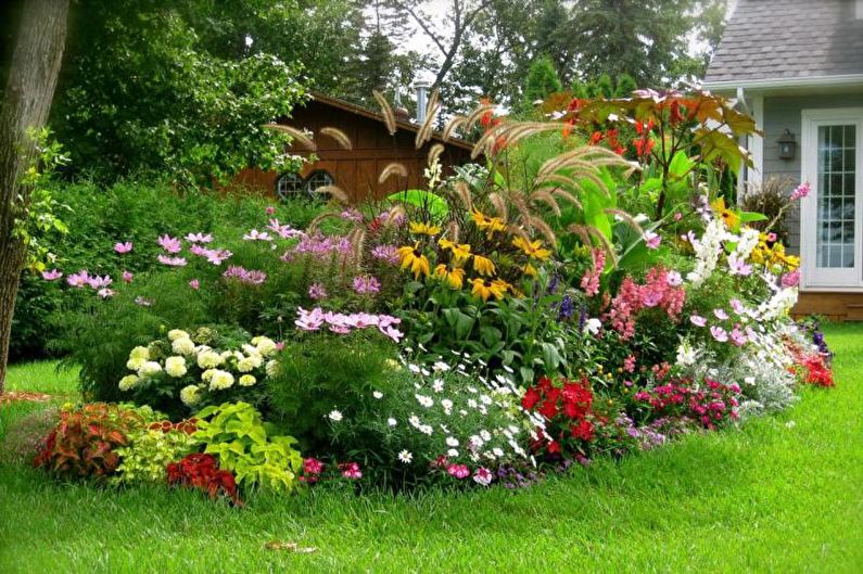 Mixborder - Parterre de fleurs à la campagne, idées d'aménagement paysager