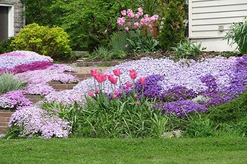 Fleurs vivaces pour le jardin et le jardin - les avantages de la plantation