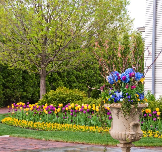 Parterre de fleurs de printemps de tulipes colorées 