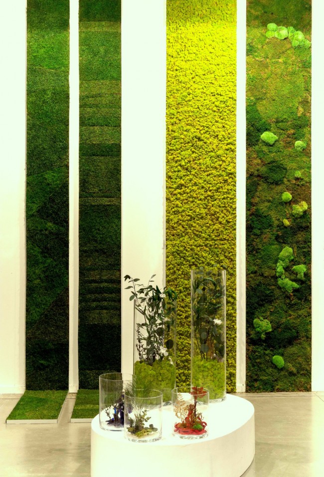 Jardinage vertical dans un appartement avec de la mousse