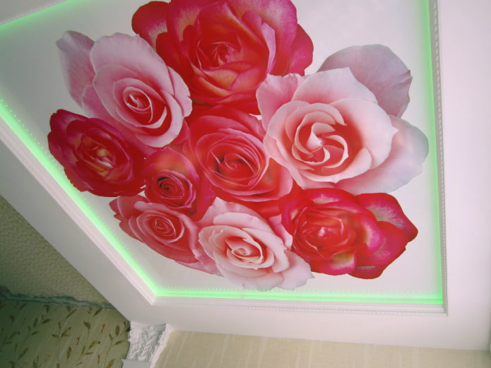 tissu extensible avec impression photo en forme de rose