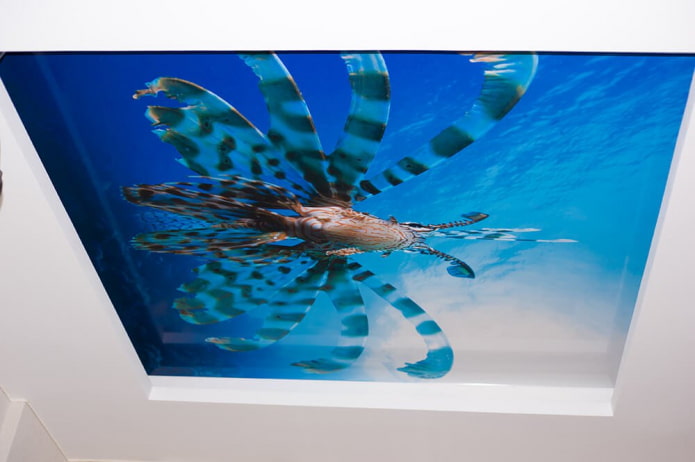 toile extensible avec impression photo monde sous-marin