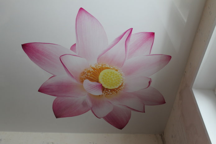toile extensible avec l'image d'un lotus