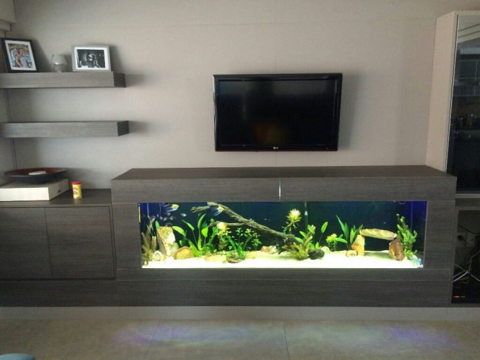 TV murale avec un aquarium à l'intérieur