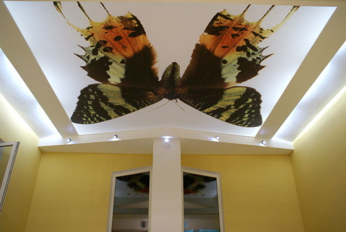plafond papillon
