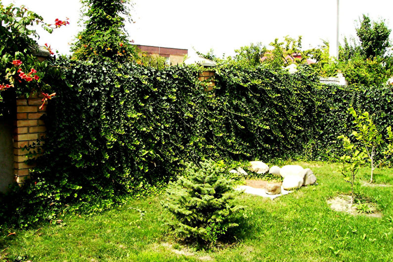 Décorations de jardin DIY - Clôtures et clôtures