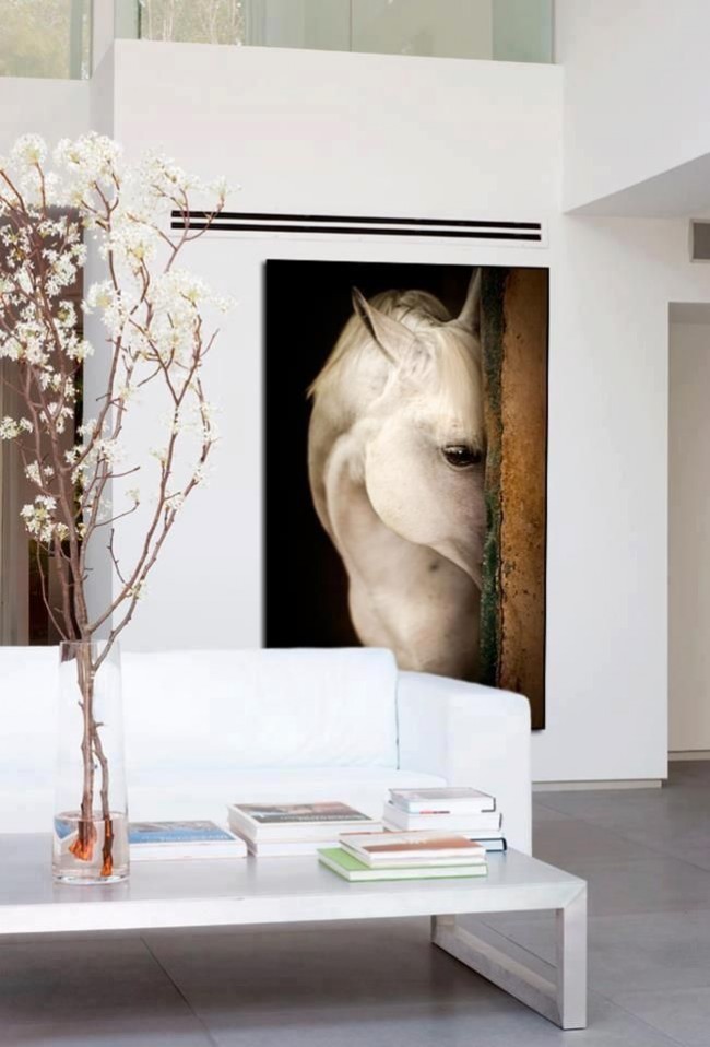 Affiche de cheval voyeur