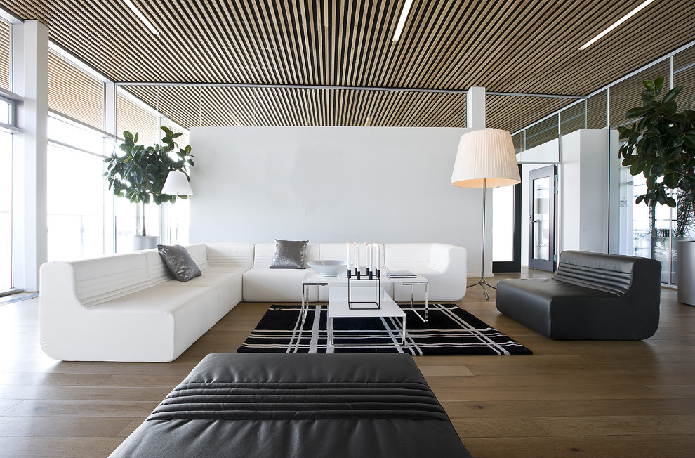 Design noir et blanc d'un salon spacieux dans un style minimaliste