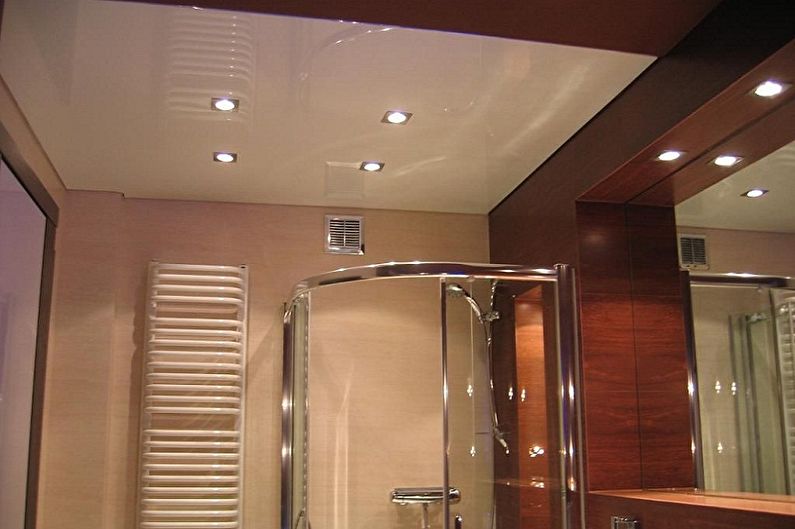 Conception de salle de bain 2 m²  - Décoration de plafond