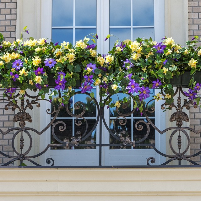Un beau balcon bien entretenu et surtout fleuri est le rêve de toute hôtesse, il est très important que les fleurs que vous choisissez et la clôture du balcon elle-même soient combinées les unes avec les autres
