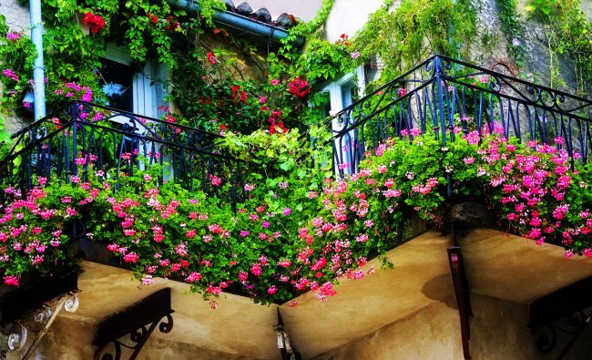 Les fleurs aideront votre balcon à créer votre propre style unique, elles le rendront plus lumineux, plus confortable et aideront également à créer 