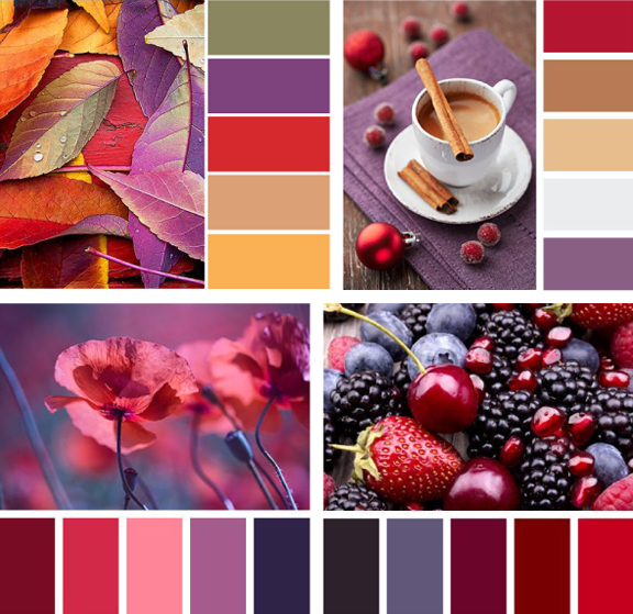 Les schémas de couleurs dits : exemples de combinaisons avec des couleurs froides