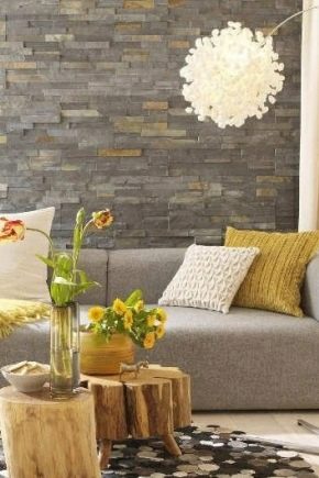 Décorer les murs du salon avec de la pierre décorative