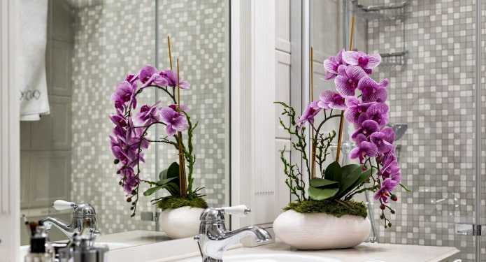 orchidée dans la salle de bain