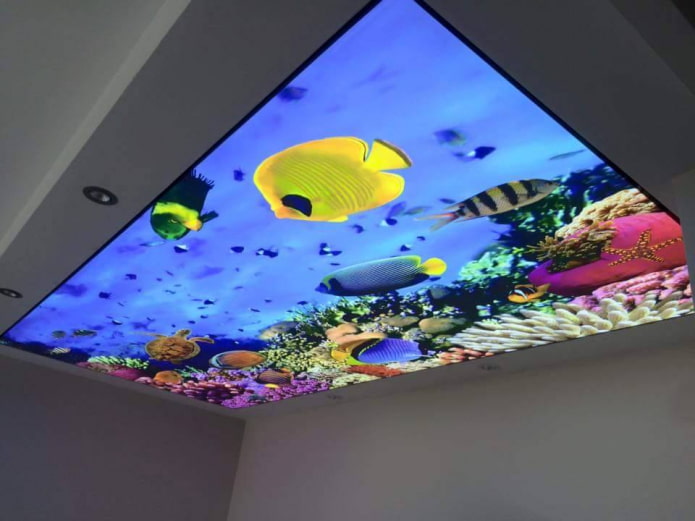 plafond avec impression photo 3D imitant un aquarium