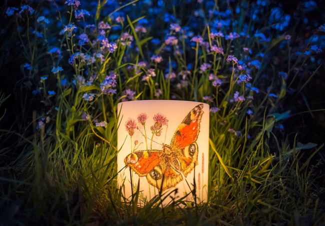 Idée de décoration de bougie d'été: image de papillon paon