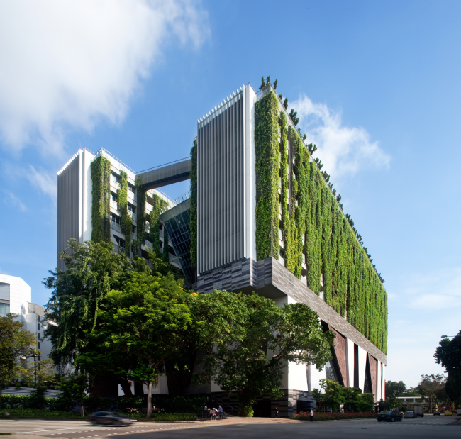 Immeubles de grande hauteur avec une abondance de verdure sur les façades
