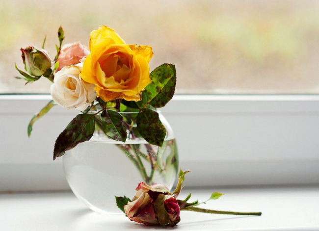 Vase en verre transparent pour une petite rose
