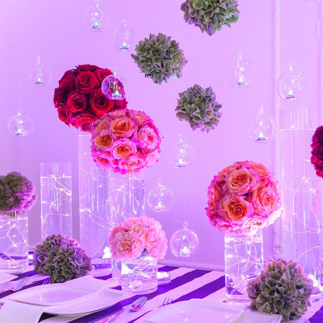 Une variété de vases en verre pour roses en forme de cylindre