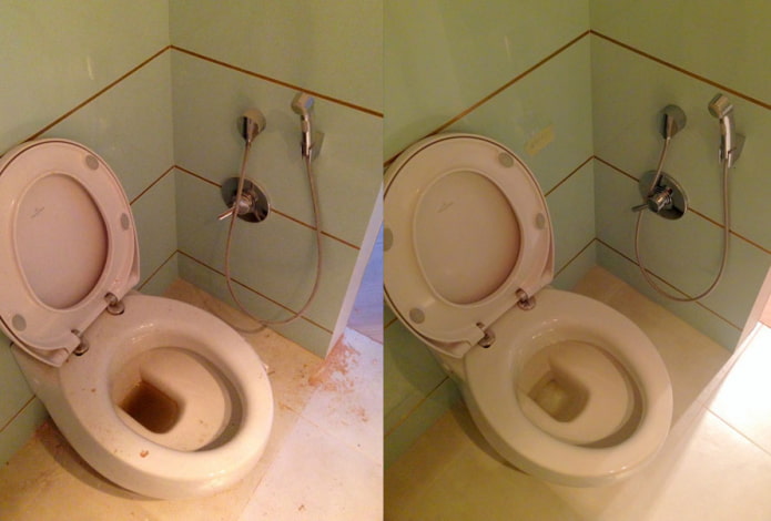 Toilette avant et après le nettoyage avec la poudre Sarma