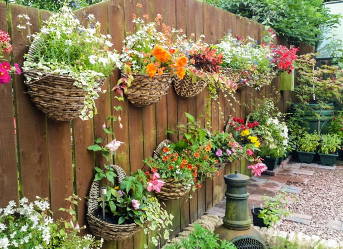 Pot de fleurs avec des fleurs sur la clôture