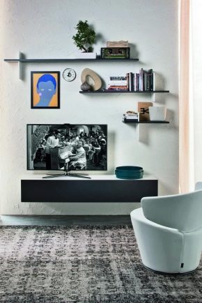 Meubles TV dans le salon: caractéristiques de conception